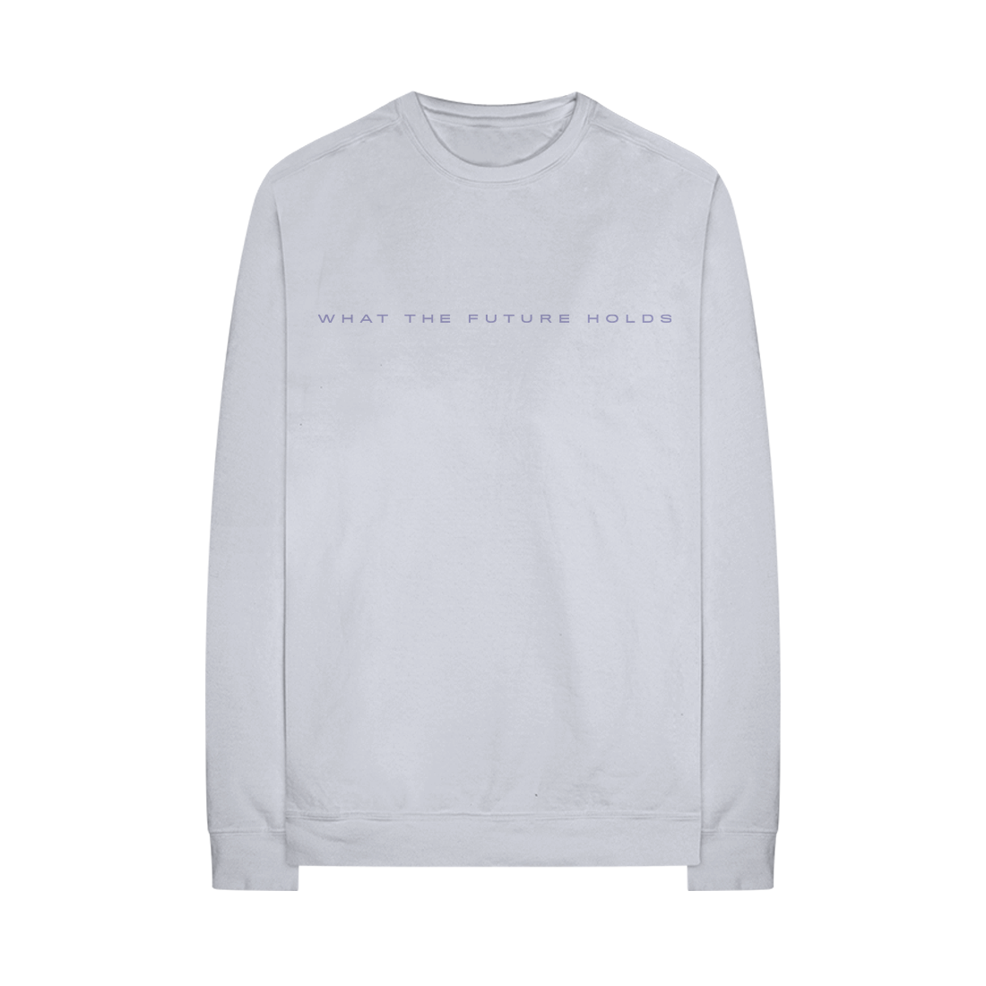 WHAT THE FUTURE HOLDS DELUXE GREY CREWNECK